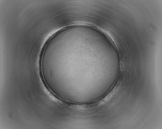 X0000115170995200911121735