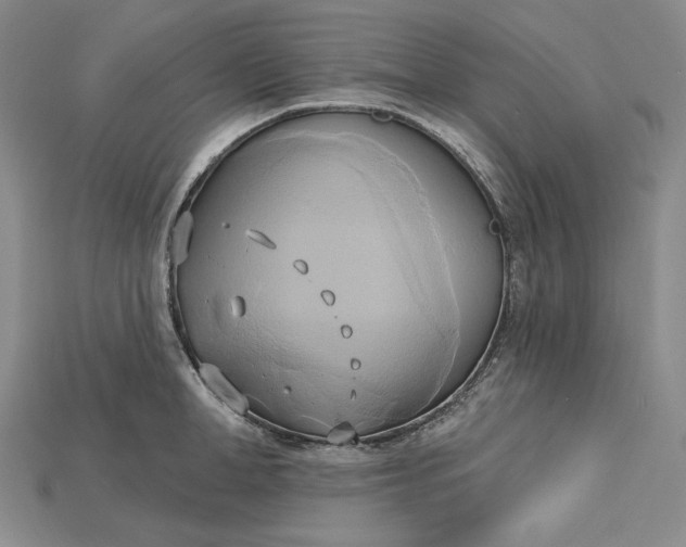 X0000115170998200911121735