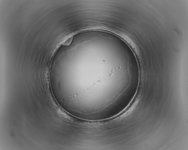 X0000115171001200911121735