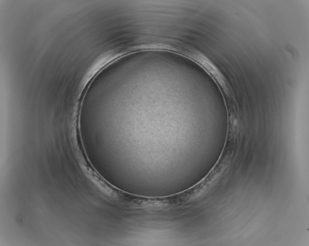 X0000115171002200911121735