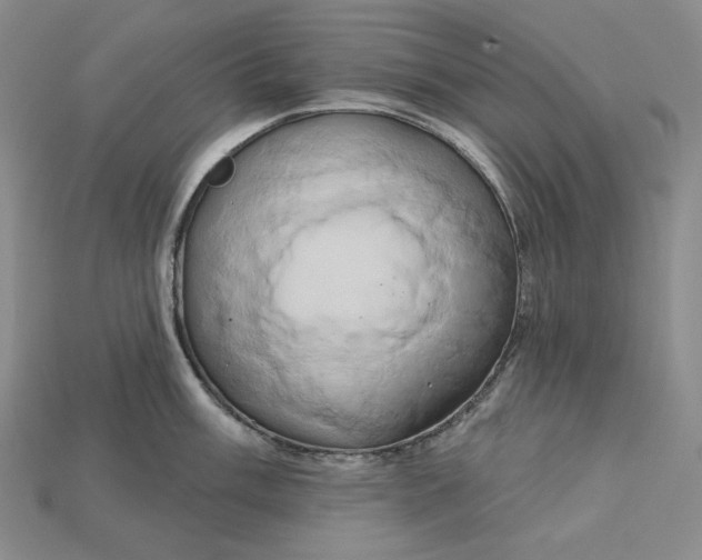 X0000115171003200911121735