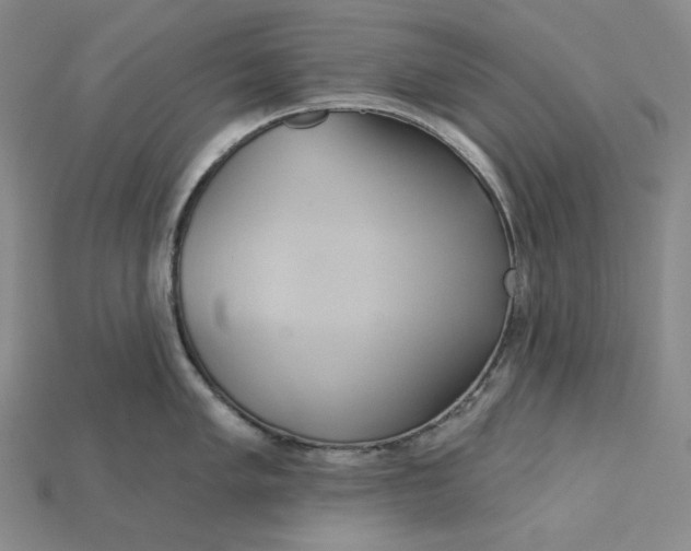X0000115171005200911121735