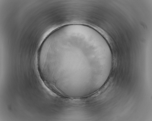 X0000115171006200911121735