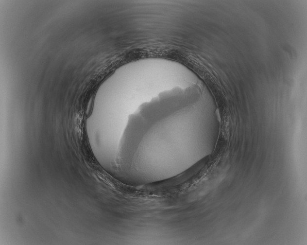 X0000115171010200911121735