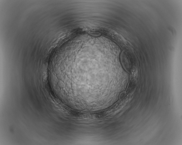 X0000115171012200911121735