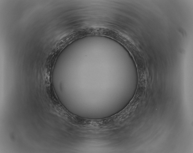 X0000115171013200911121735