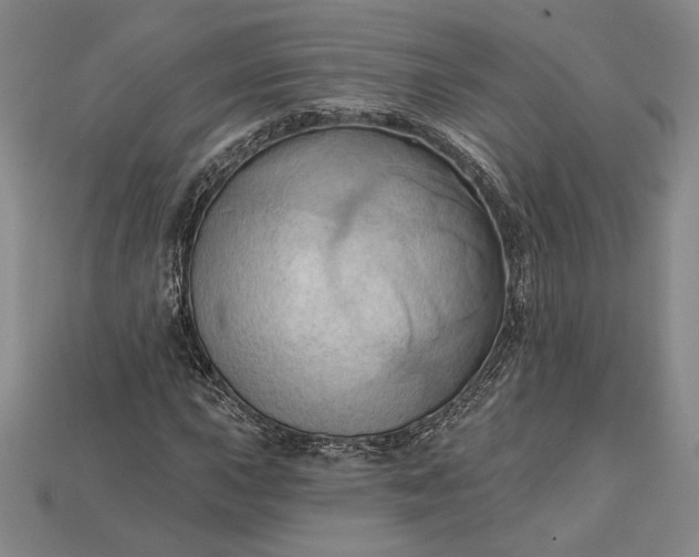 X0000115171015200911121735