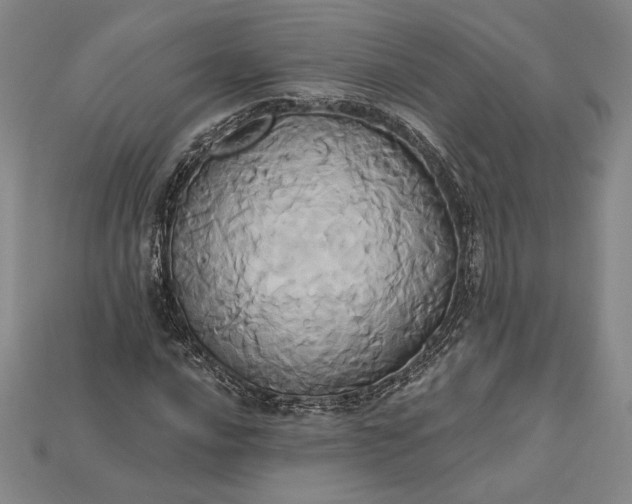 X0000115171016200911121735