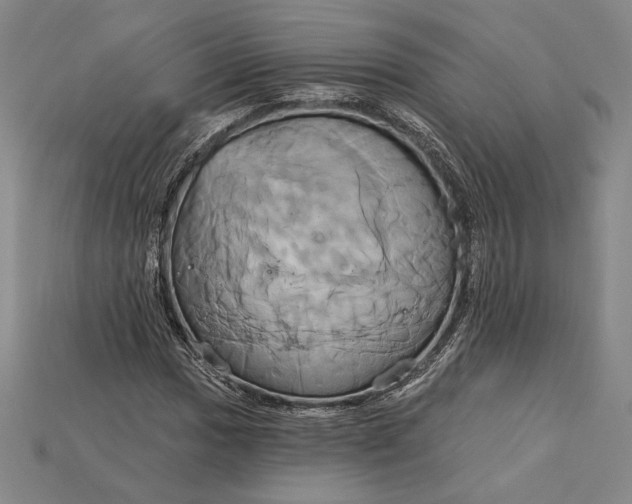 X0000115171017200911121735
