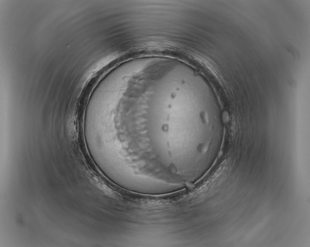 X0000115171018200911121735