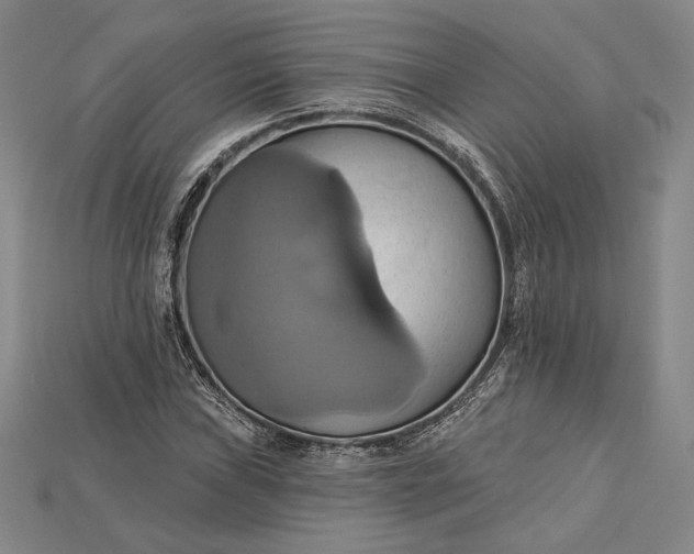 X0000115171019200911121735