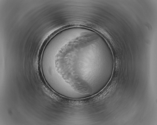 X0000115171020200911121735