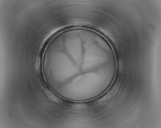 X0000115171021200911121735