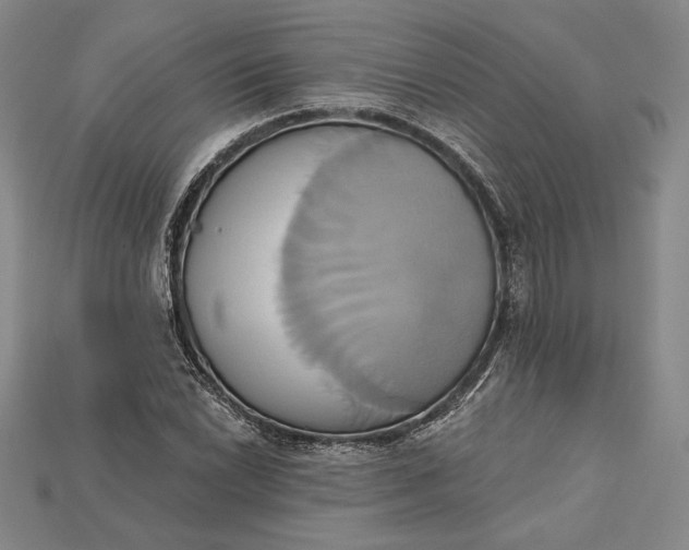 X0000115171022200911121735