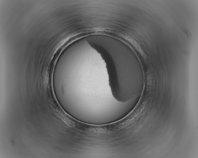X0000115171023200911121735