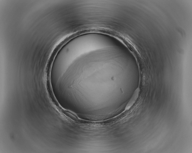 X0000115171024200911121735