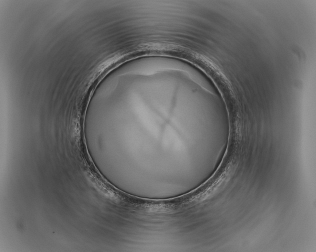 X0000115171025200911121735