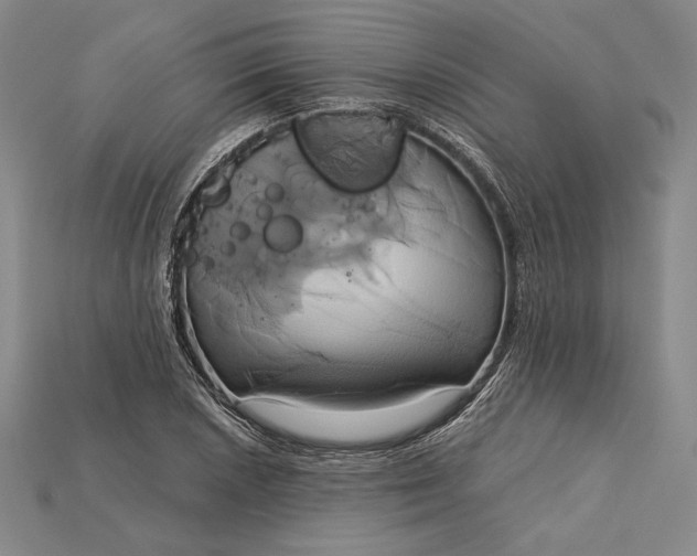 X0000115171026200911121735