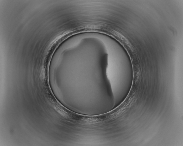 X0000115171027200911121735