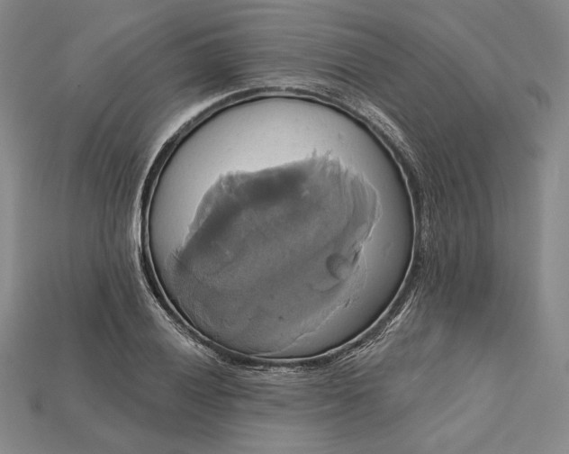 X0000115171028200911121735