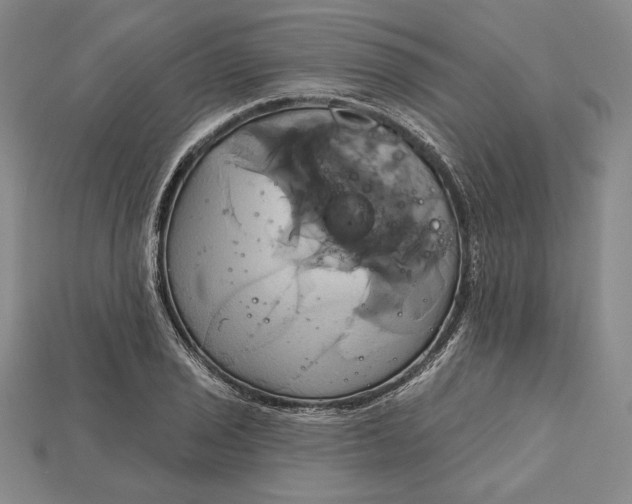 X0000115171029200911121735