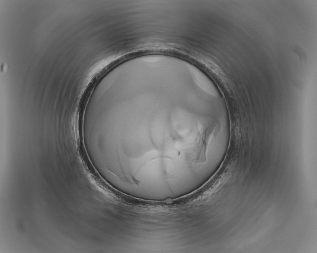 X0000115171030200911121735