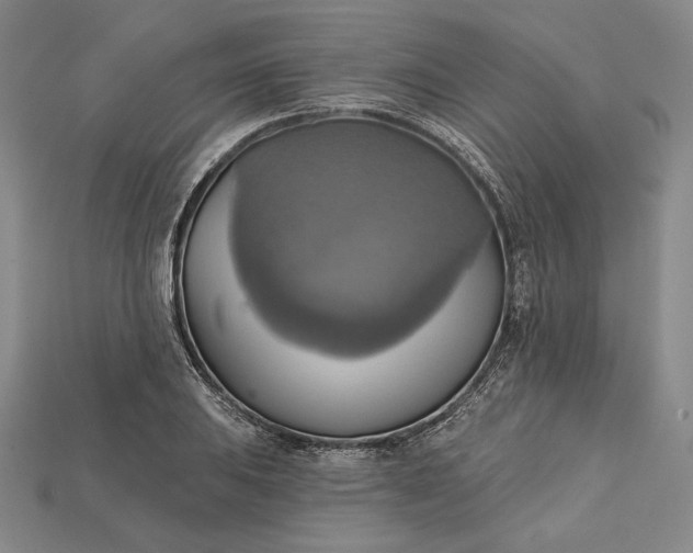 X0000115171031200911121735