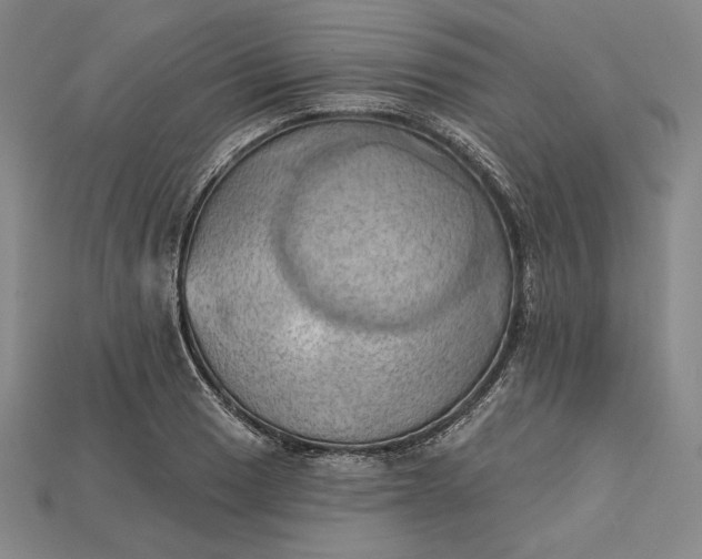 X0000115171033200911121735