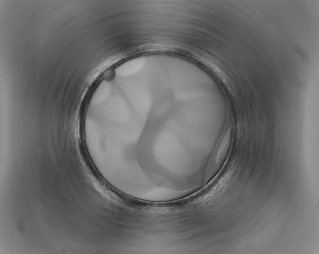 X0000115171034200911121735