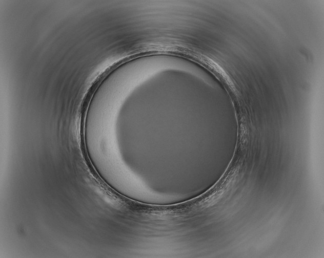 X0000115171035200911121735