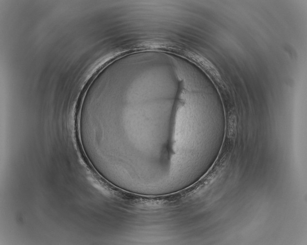 X0000115171039200911121735