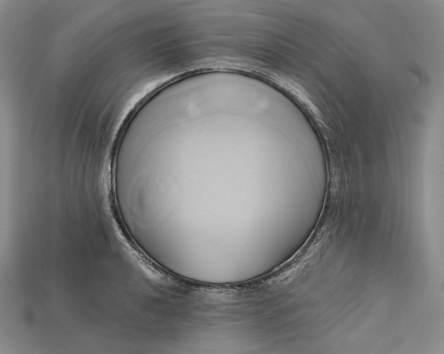 X0000115171040200911121735