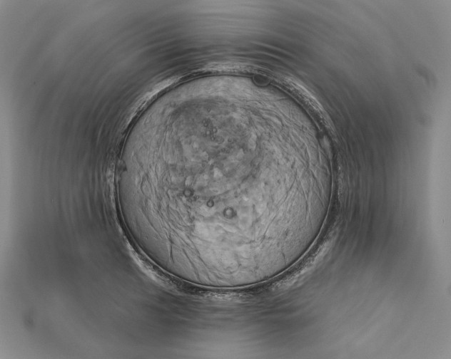 X0000115171041200911121735