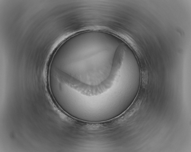 X0000115171046200911121735