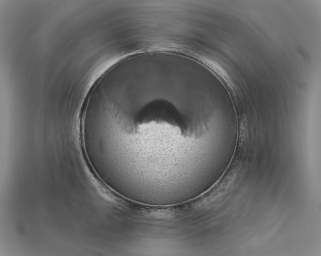 X0000115171047200911121735