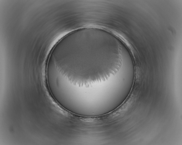 X0000115171048200911121735