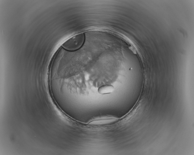 X0000115171050200911121735
