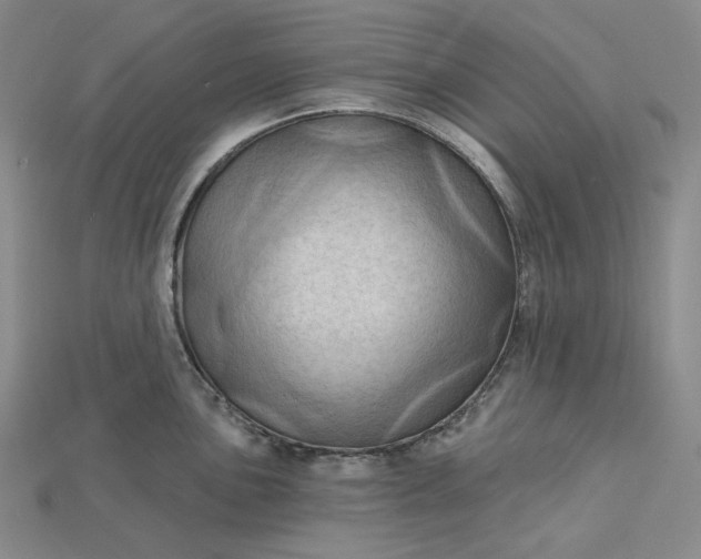 X0000115171051200911121735