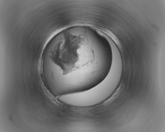 X0000115171052200911121735