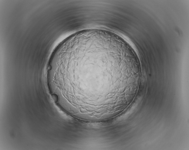 X0000115171053200911121735