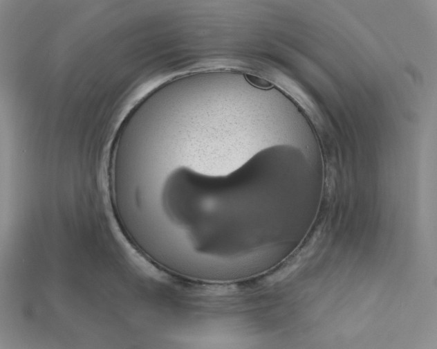 X0000115171055200911121735