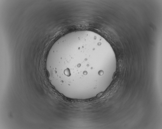 X0000115171057200911121735