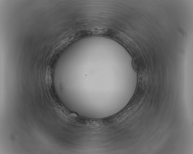 X0000115171058200911121735
