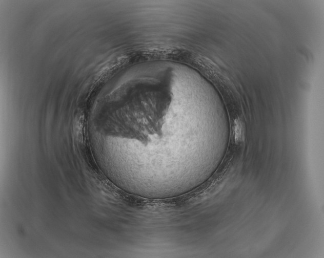 X0000115171059200911121735