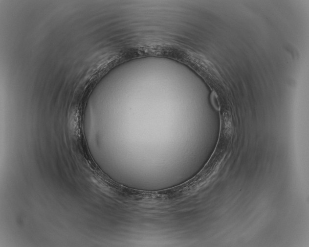 X0000115171060200911121735