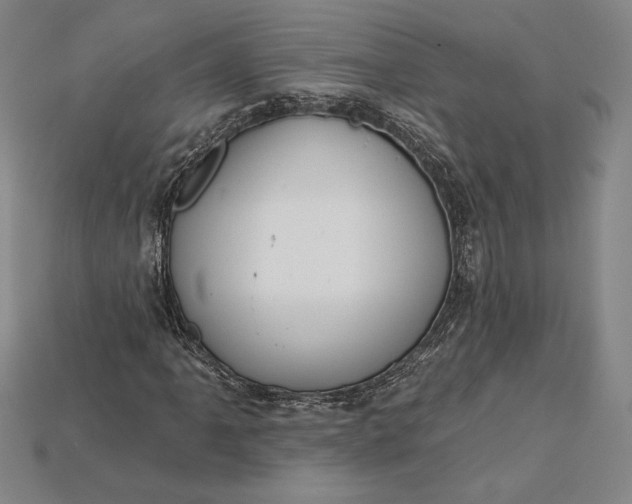 X0000115171061200911121735
