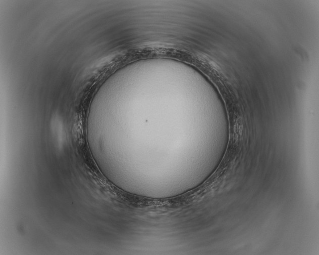 X0000115171062200911121735