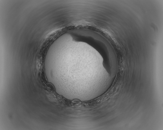 X0000115171063200911121735