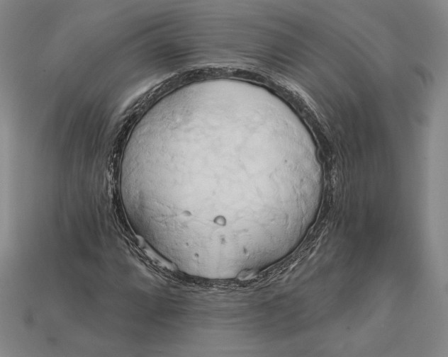 X0000115171064200911121735