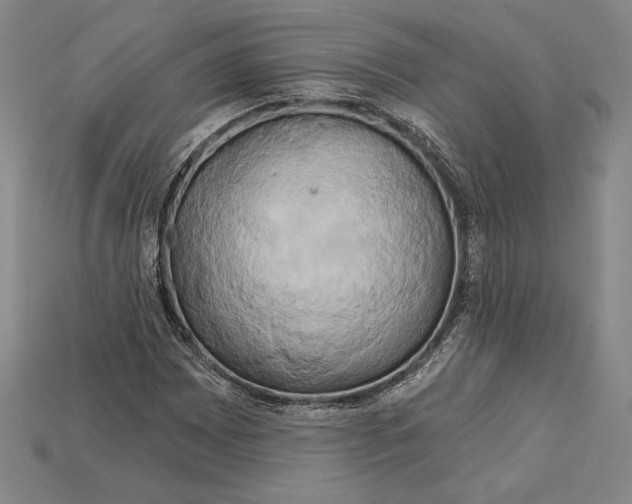 X0000115171065200911121735